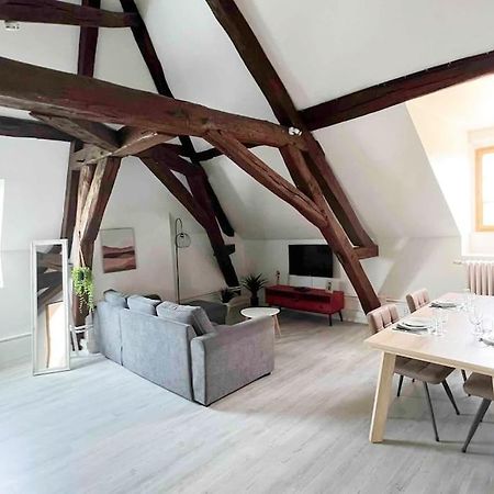 Charme Plein Coeur Auxerre - Parking Prive Apartment Luaran gambar