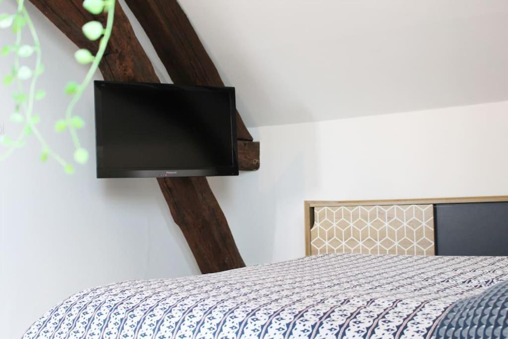 Charme Plein Coeur Auxerre - Parking Prive Apartment Luaran gambar