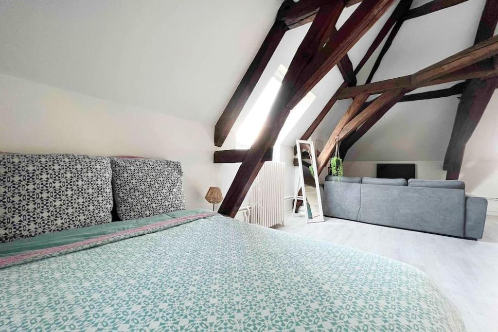 Charme Plein Coeur Auxerre - Parking Prive Apartment Luaran gambar