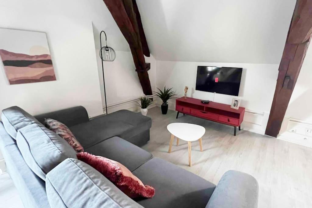 Charme Plein Coeur Auxerre - Parking Prive Apartment Luaran gambar
