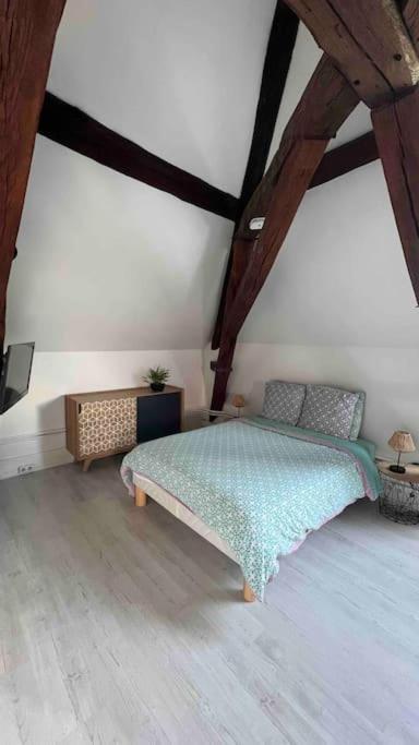 Charme Plein Coeur Auxerre - Parking Prive Apartment Luaran gambar
